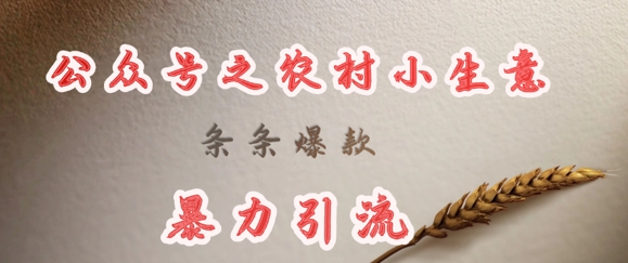 deepseek写农村小项目，条条爆款，暴力引流-清风网创